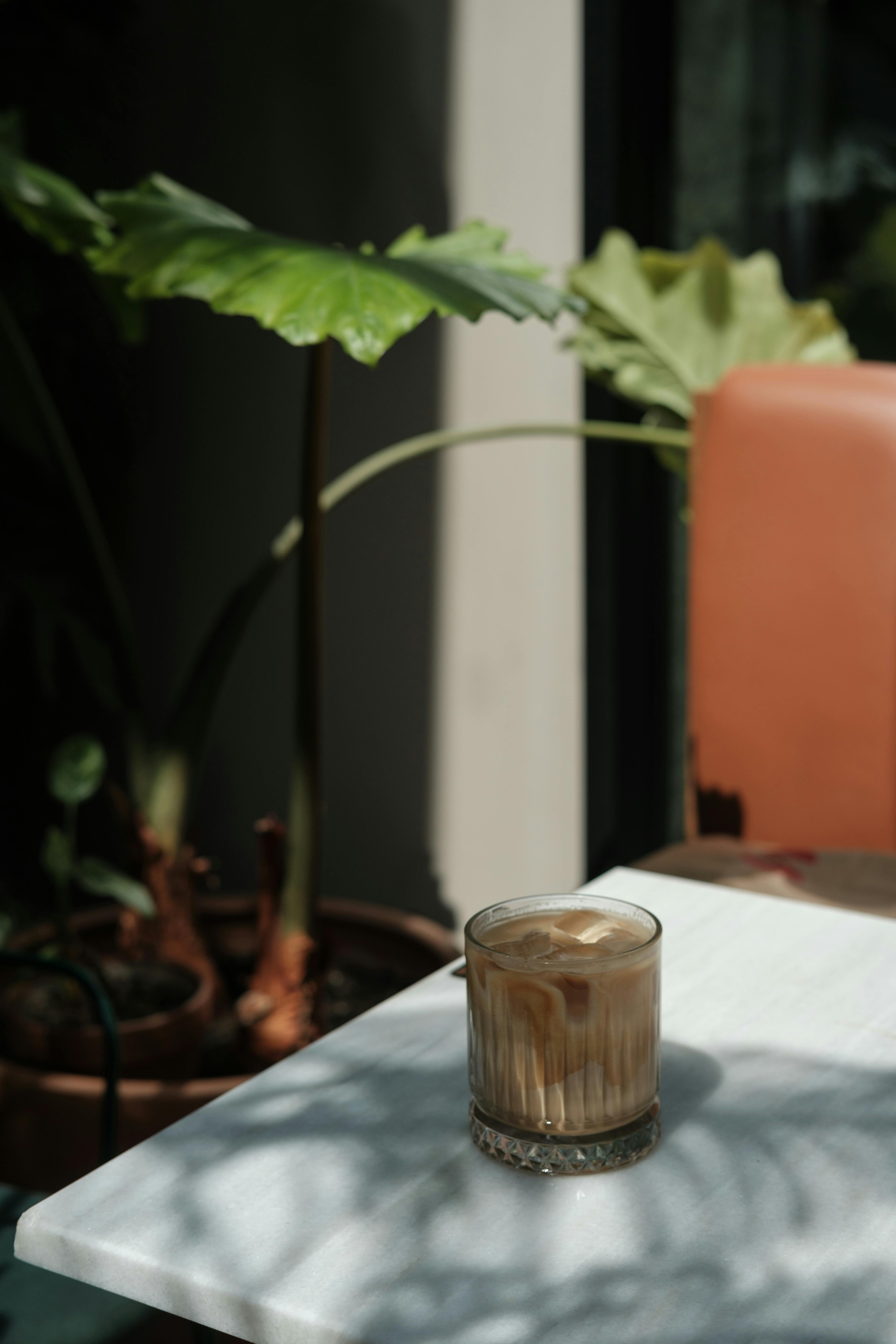 Refreshing iced coffee on a sunlit patio table surrounded by lush greenery.