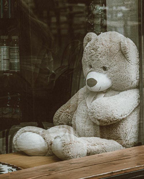 Free A Teddy Bear Plush Toy by the Window Stock Photo