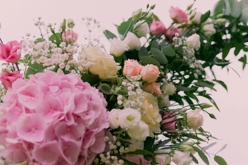 A Blooming Flowers with Green Leaves