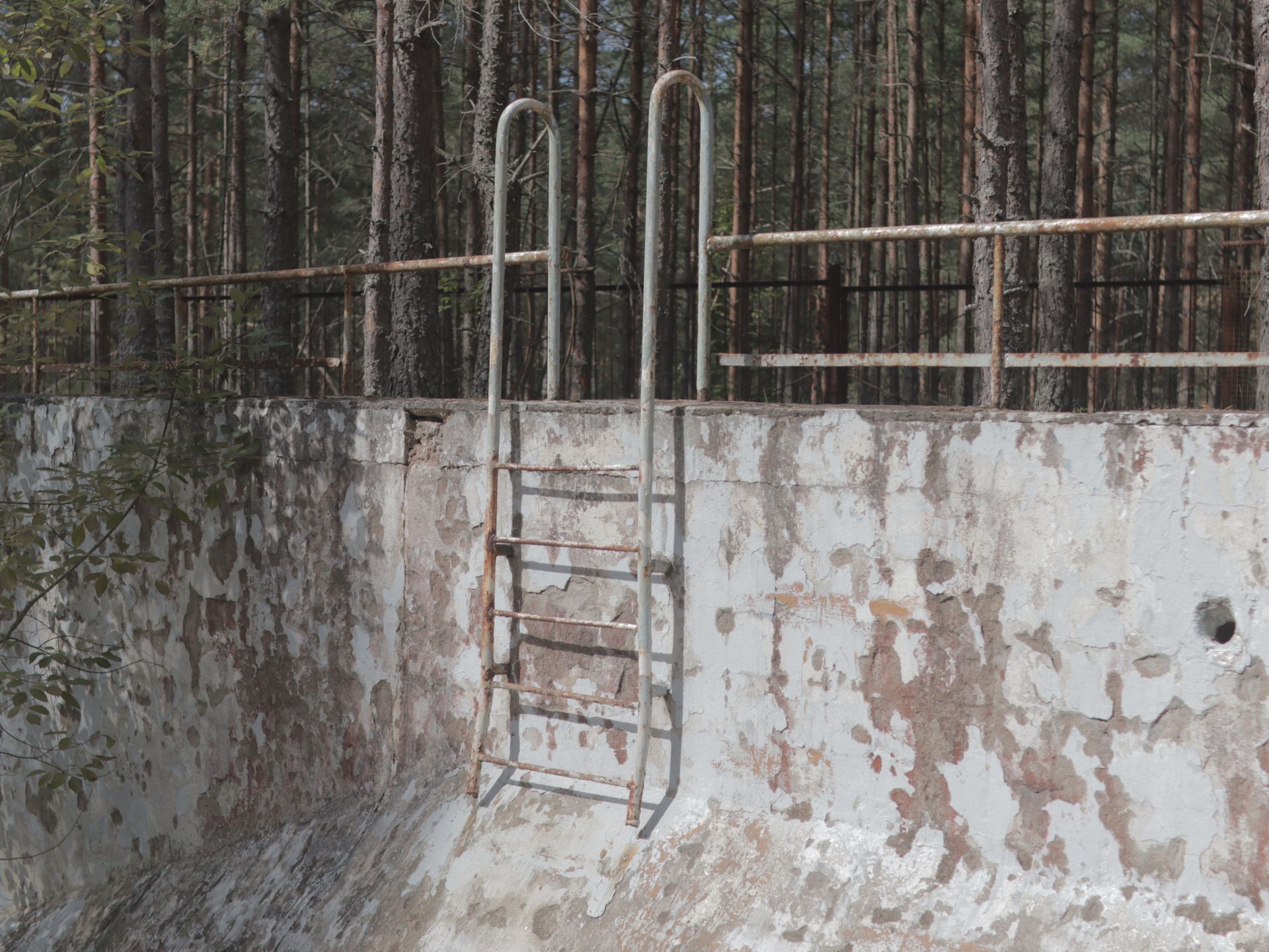 An eroded, empty swimming pool with rusty ladder surrounded by trees.