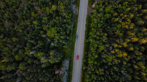 Free Drone shot of a road cutting through dense forest in Nova Scotia. Stock Photo