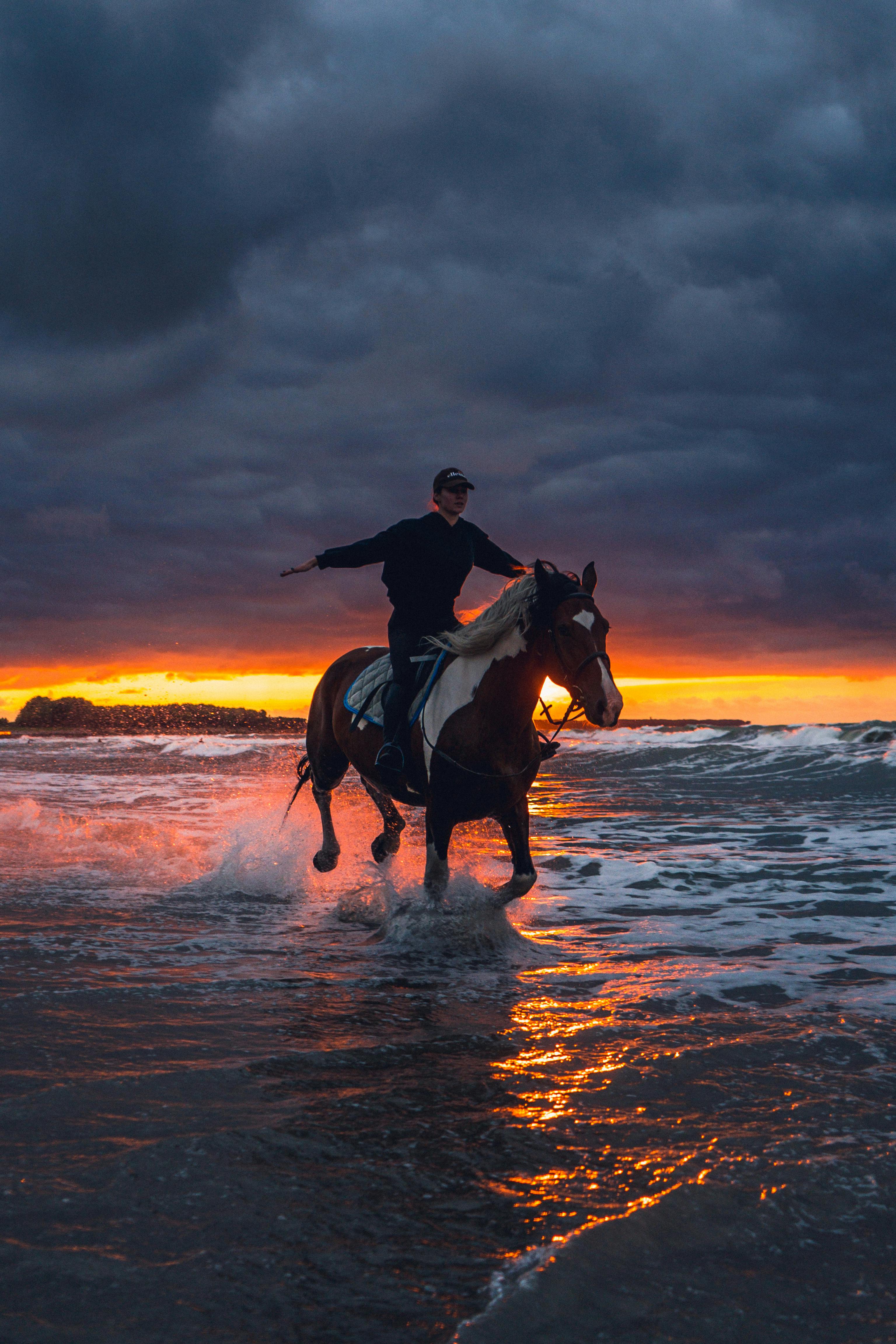 A Person Riding a Horse Along the Shore · Free Stock Photo