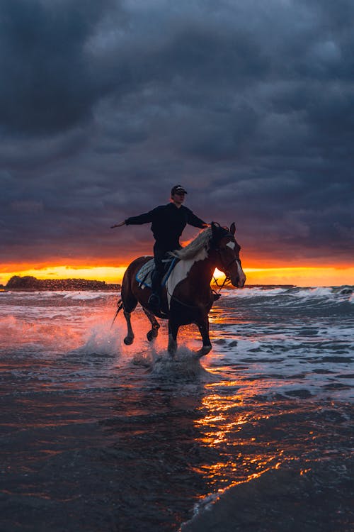 açık hava, akşam karanlığı, at içeren Ücretsiz stok fotoğraf