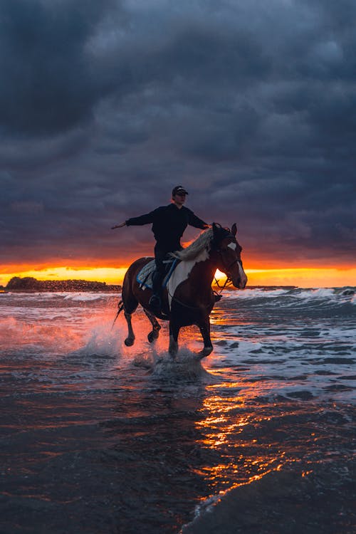 Základová fotografie zdarma na téma jezdec, klisna, kšiltovka