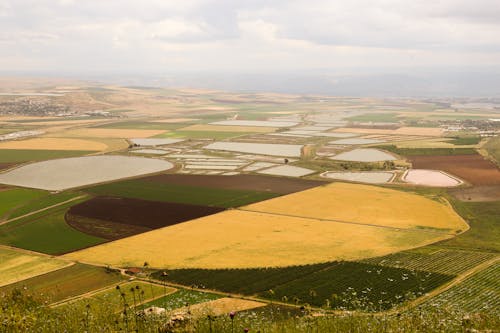 Aerial View of Green and Yellow Fields