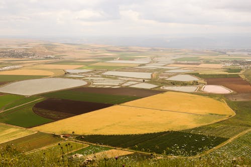 alan, arazi, bitki içeren Ücretsiz stok fotoğraf