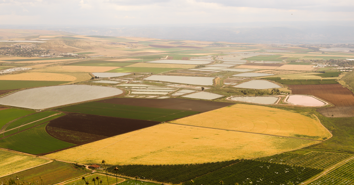 Guide pratique pour choisir les meilleures fournitures agricoles
