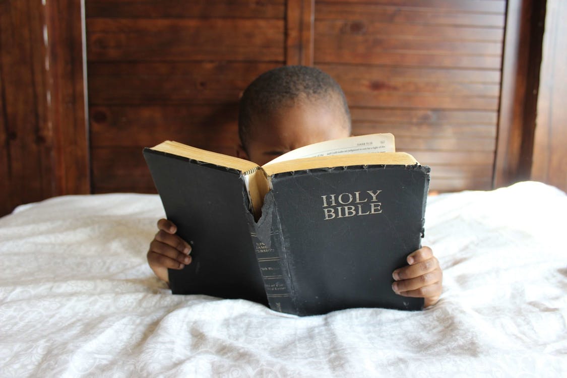 Free Photo of Child Reading Holy Bible Stock Photo