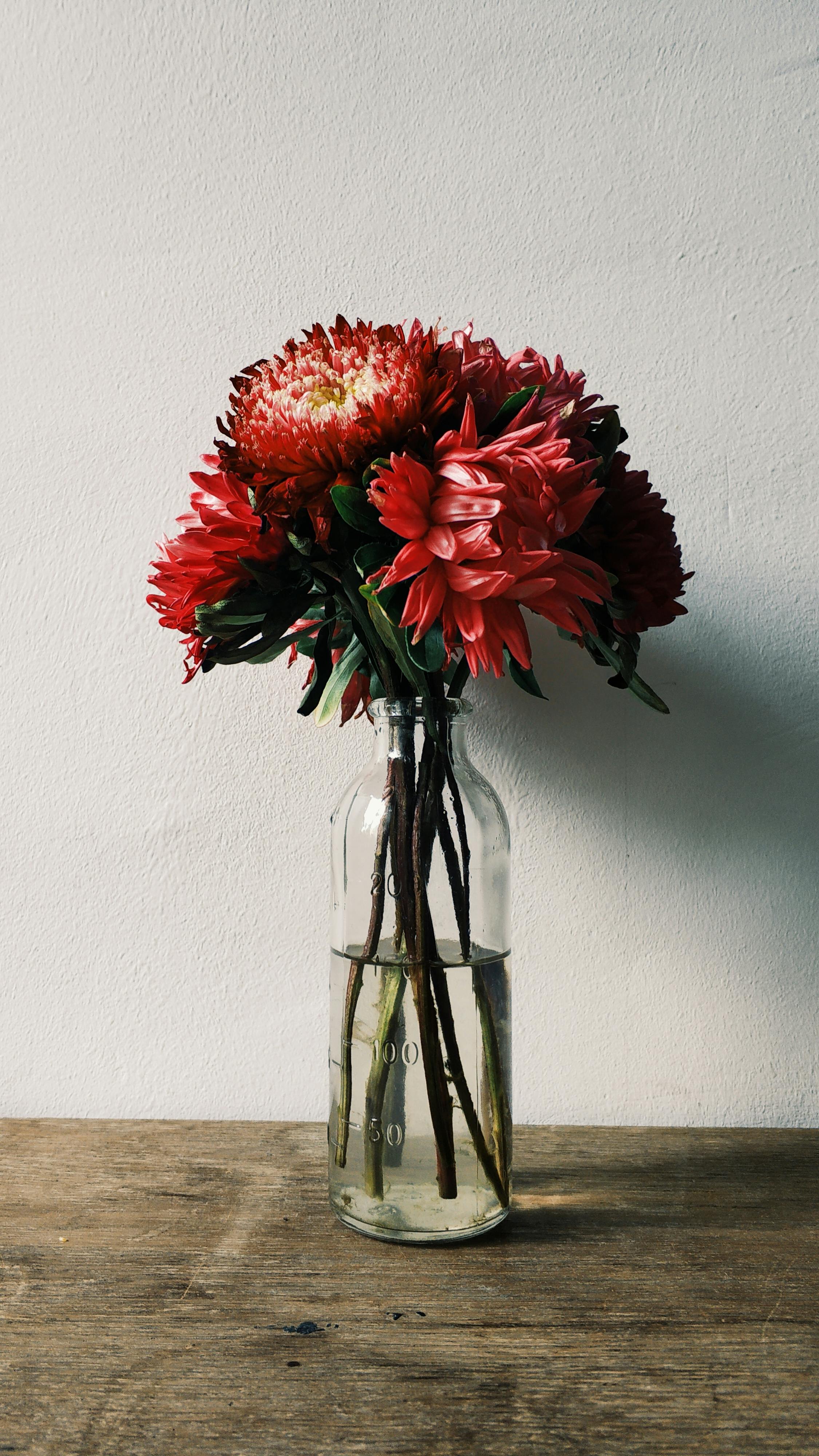A striking bouquet of red flowers in a glass bottle vase, set against a simple background on a wooden table.