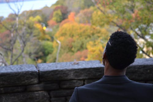 一个男人可以俯瞰秋天树梢的背影