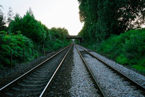 Ilmainen kuvapankkikuva tunnisteilla junanradat, junarata, kasvit Kuvapankkikuva