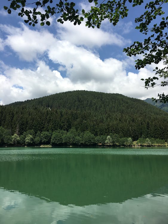 Foto d'estoc gratuïta de a l'aire lliure, aigua, arbres