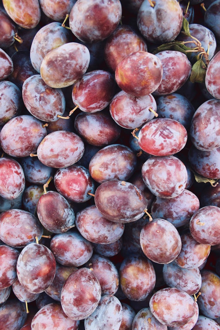 Close-Up Shot Of Fresh Plums