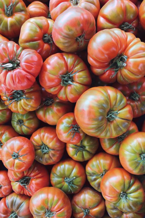 Free High-resolution close-up of ripe heirloom tomatoes in a vibrant still life composition. Stock Photo