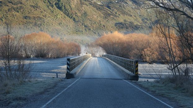 新西兰乡村的桥景宁静，秋树点缀
