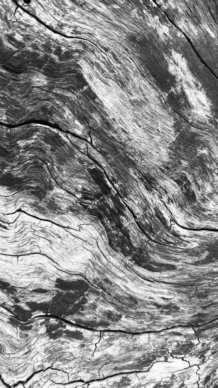Monochrome wood grain by Akil Vignesh Jr on Pexels