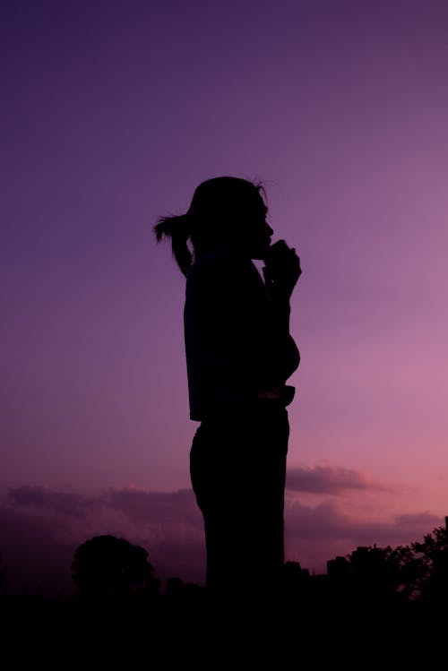 Free Silhouette of Woman Standing at Dusk Stock Photo