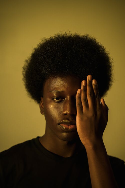Ingyenes stockfotó afro haj, álló kép, arc témában