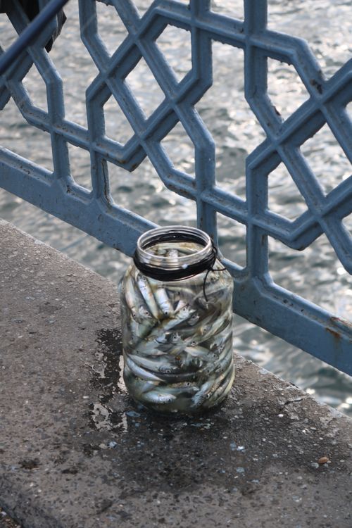 Free A glass jar filled with fish sits on a bridge ledge by the water. Captured with a Canon EOS 750D. Stock Photo