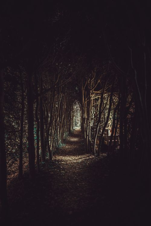 Free stock photo of adobe photoshop, adobephotoshop, autumn wallpaper Stock Photo