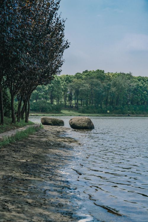 Free Peaceful lakeside scene with rocks and trees along the shore under a blue sky. Stock Photo