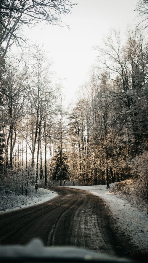 Free A tranquil snowy road winding through a serene winter forest landscape. Stock Photo