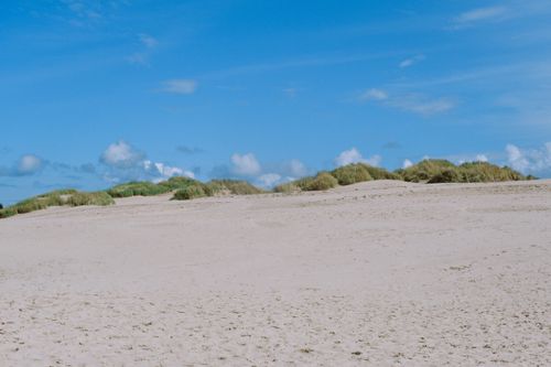 Free Peaceful sandy beach with grass-covered dunes under a vibrant blue sky. Stock Photo