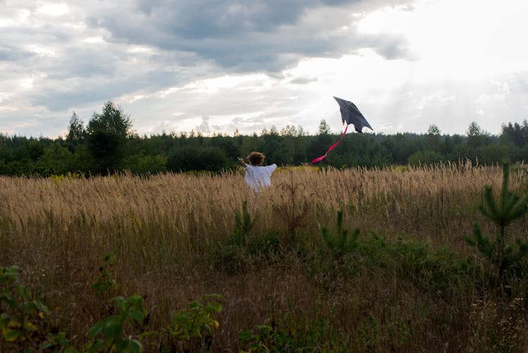 Child With Kite On Meadow