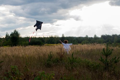 Free A child joyfully flies a kite in a scenic meadow under a cloudy sky. Stock Photo