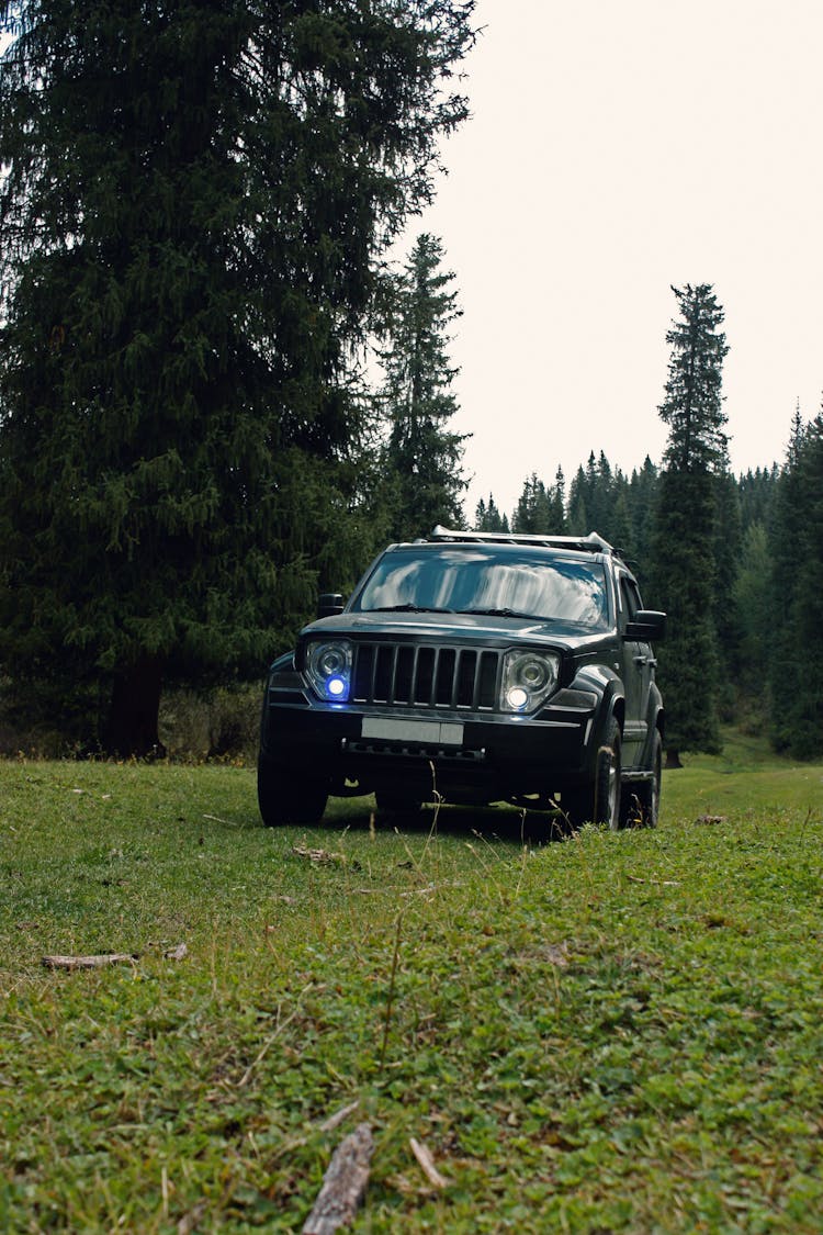 Black Jeep Parked On Lawn 