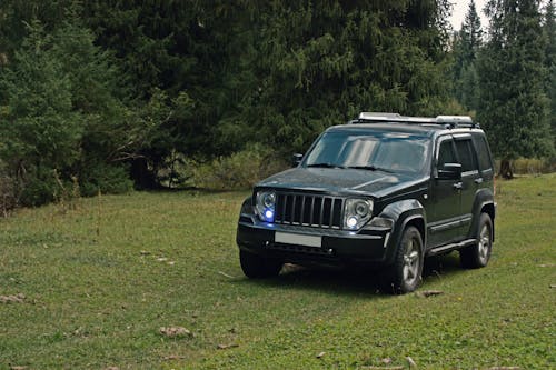 Black SUV Parked on a Grass Field near Trees