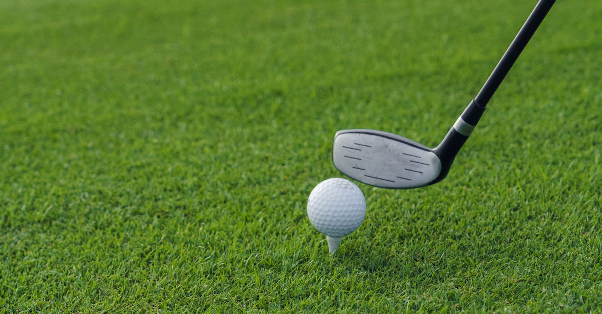 What does provisional mean in golf