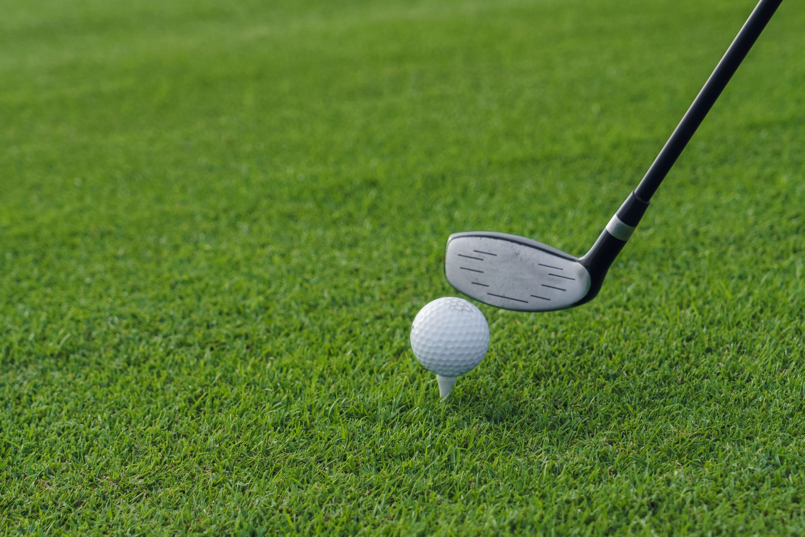 Hybrid club behind a teed-up ball