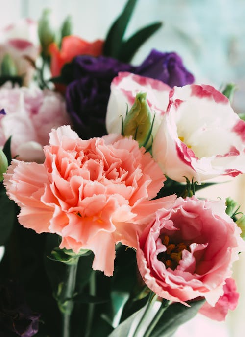 Assorted Beautiful Flowers 