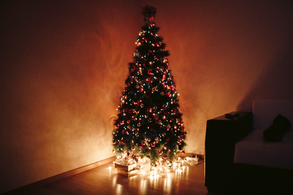 Photo of Christmas Tree During Night