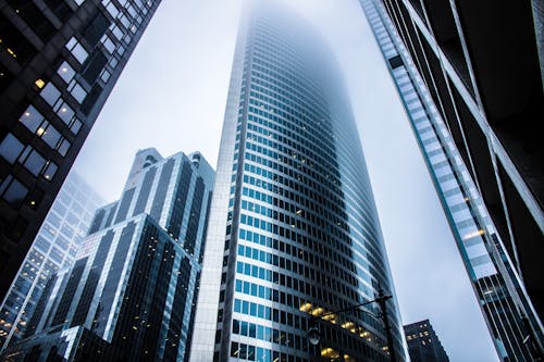 무료 회색 고층 건물 스톡 사진