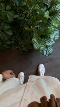 Top-down view of a person standing near lush indoor plants on a wooden floor in Istanbul.