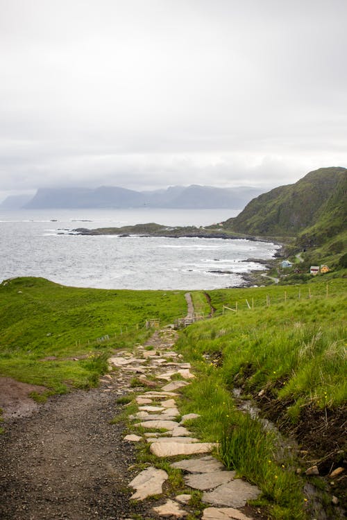 Gratis stockfoto met bergen, blikveld, gras