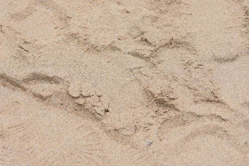 Free Close-up view of footprints in soft sand, perfect for summer themes. Stock Photo