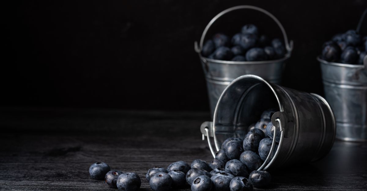 Fresh blueberries spilling out from a metal bucket with more in the background, highlighting a rustic harvest theme. - Evidence evidence guide for blueberry cognitive performance randomized trial