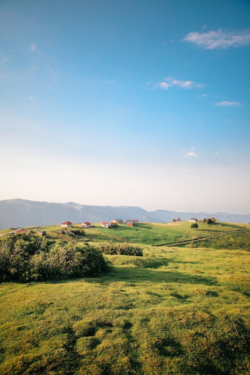 Houses on Grass Field Under Blue Sky