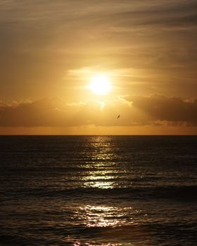Serene sunset over a calm ocean, capturing golden light and peaceful vibes.