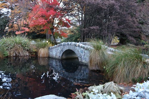 Free stock photo of autumn color, botanic garden, bridge Stock Photo