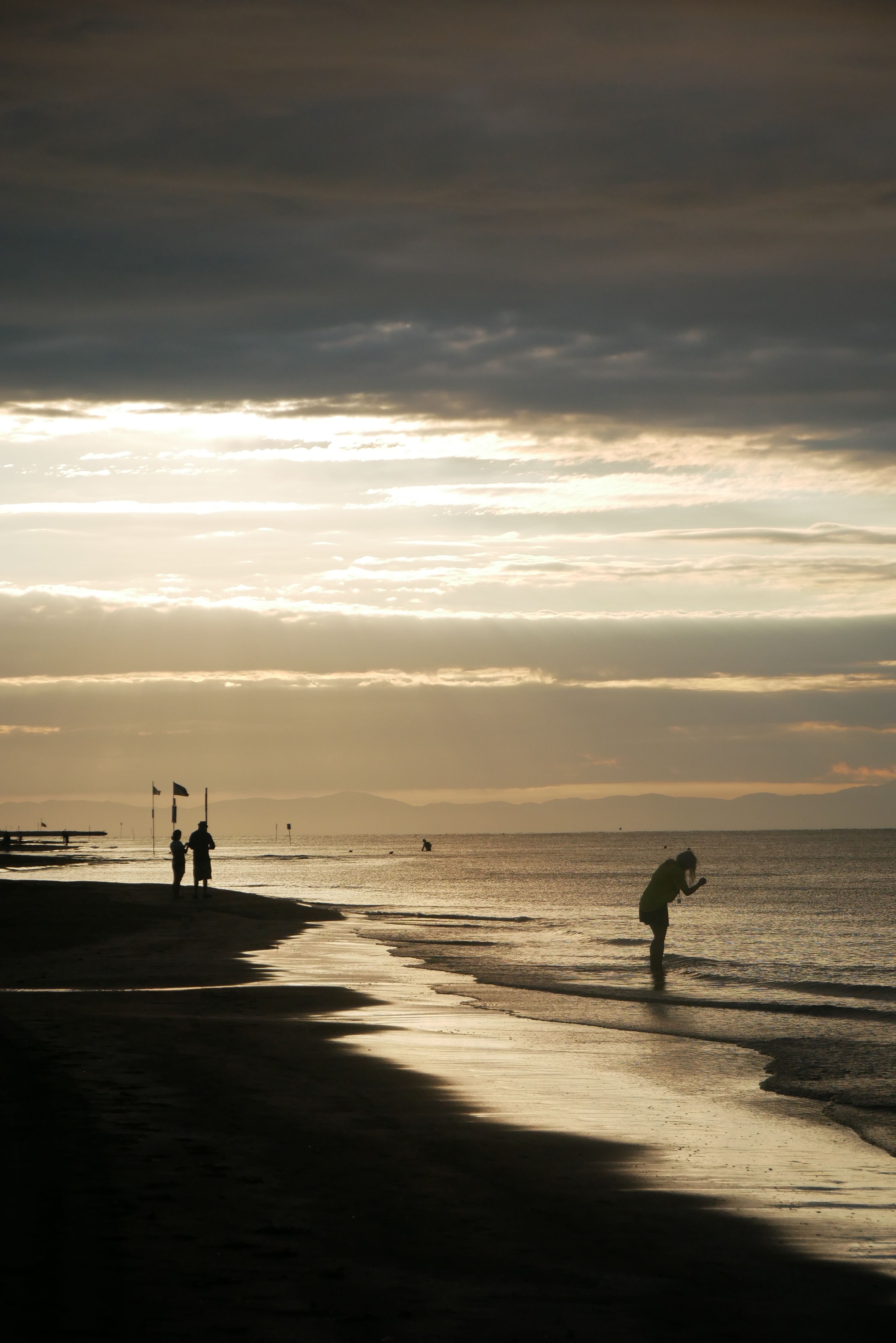 Silhouette of People on Beach during Sunset · Free Stock Photo
