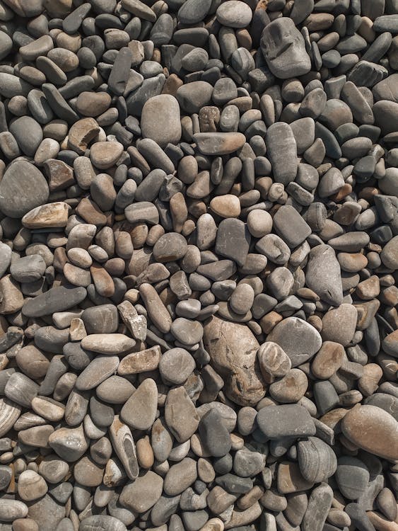 Rocks on the Ground · Free Stock Photo