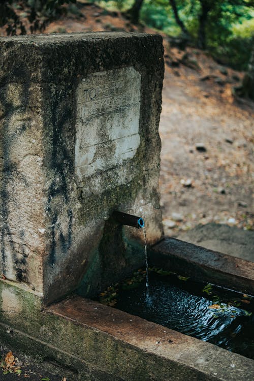 A Mossy Water Pipe