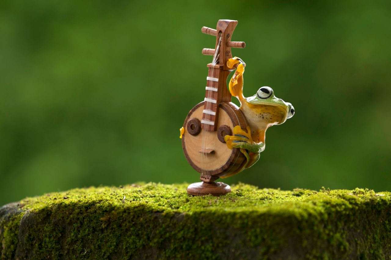 adorable frog interacting with a miniature instrument on moss set in n