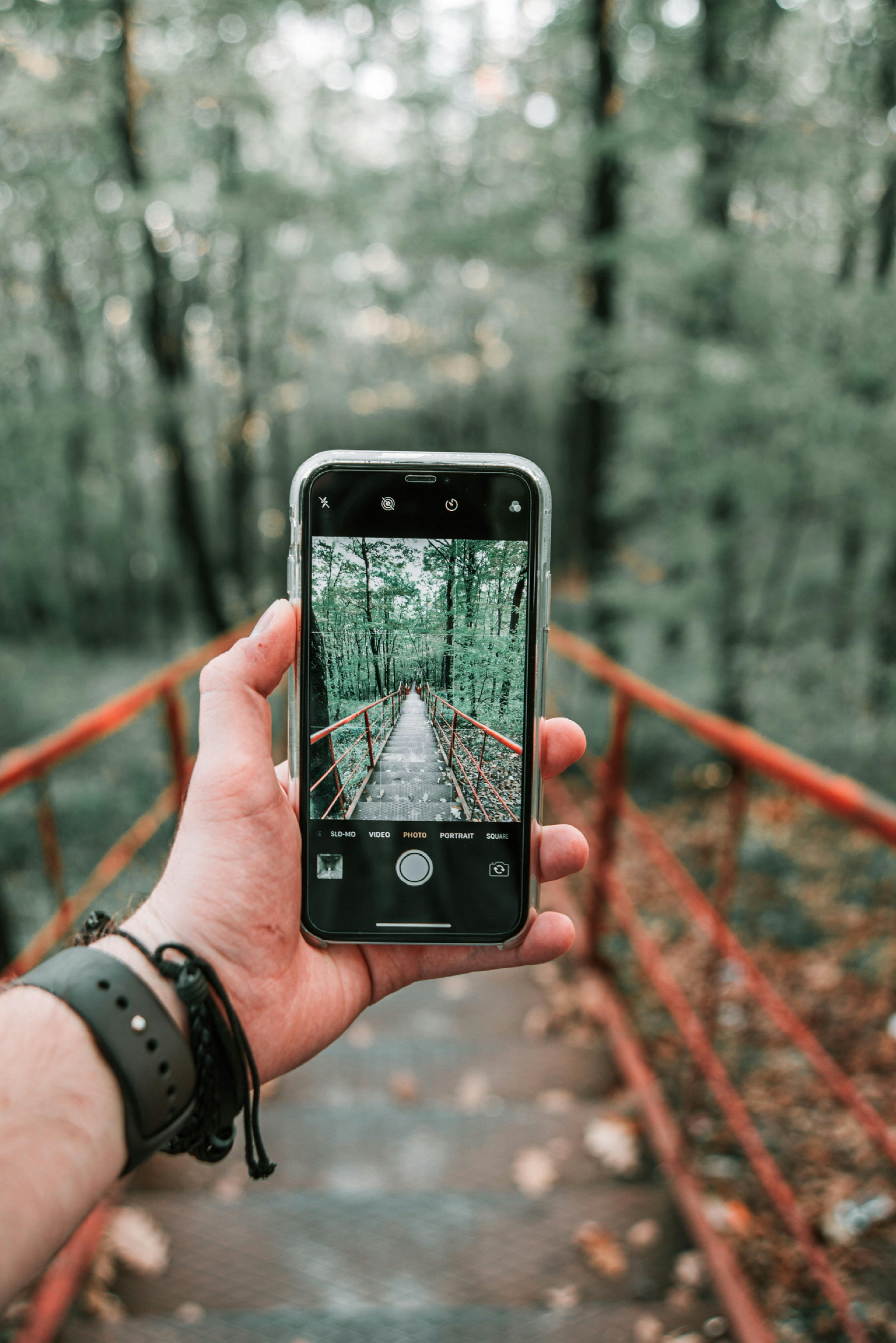 Get Paid To Take Digital Photos