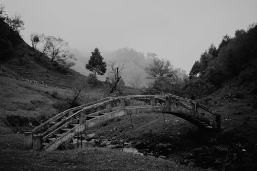 ahşap köprü, alan, çim içeren Ücretsiz stok fotoğraf