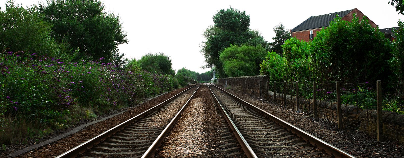 Symmetrical railway tracks surrounded by lush greenery, captured in the UK during the daytime.